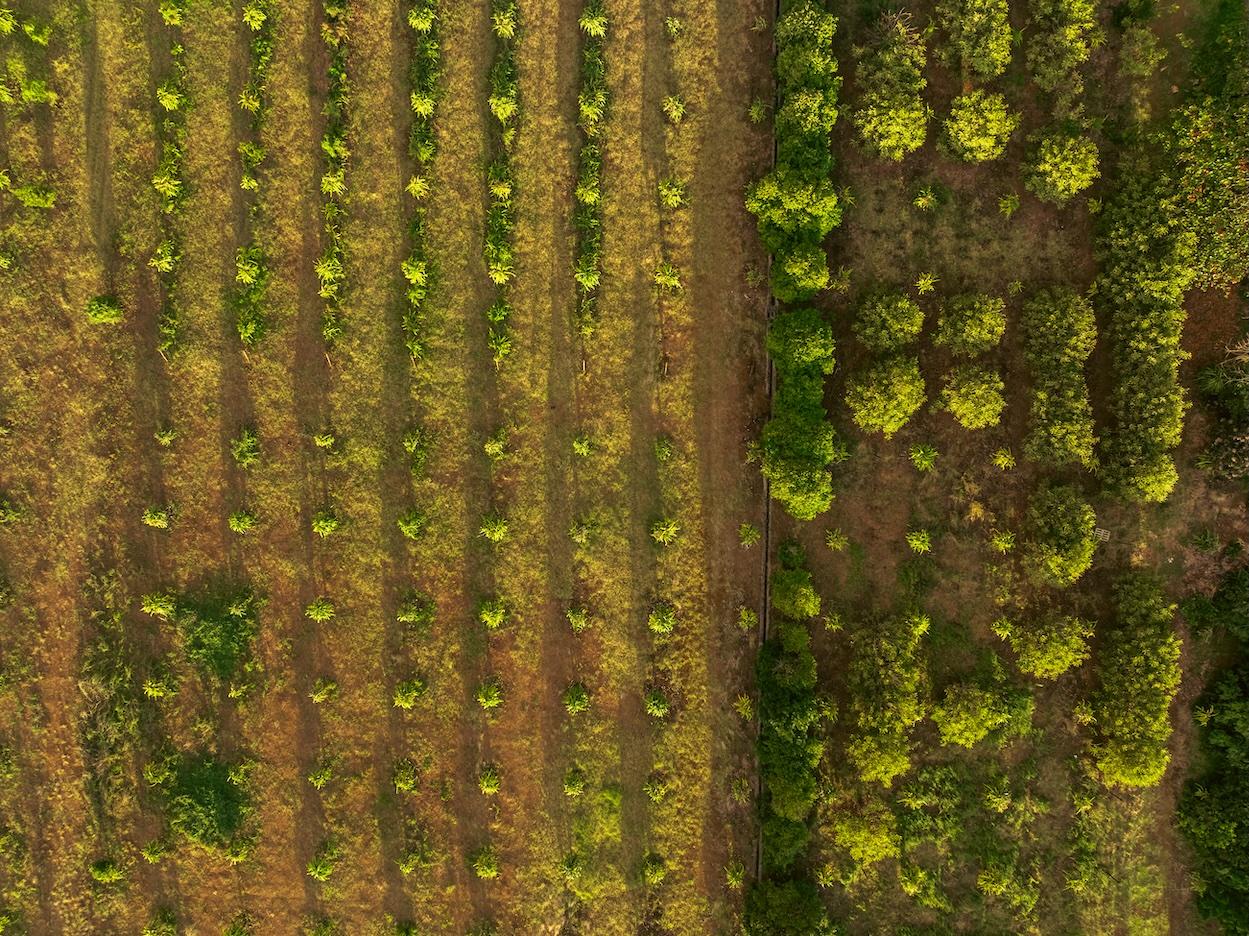 DJI_20240715161642_0165_D-Enhanced-NR-HDR-Edit - copie